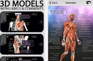 Anatomy Quiz Reference | | 5 Best Apps to Learn Human Anatomy
