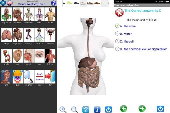 android Visual Anatomy Free | | 5 Best Apps to Learn Human Anatomy