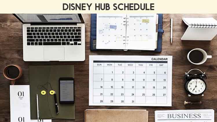 The Disney Hub Schedule