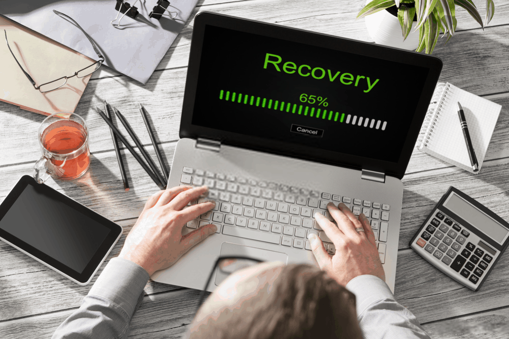 EaseUS Data Recovery review