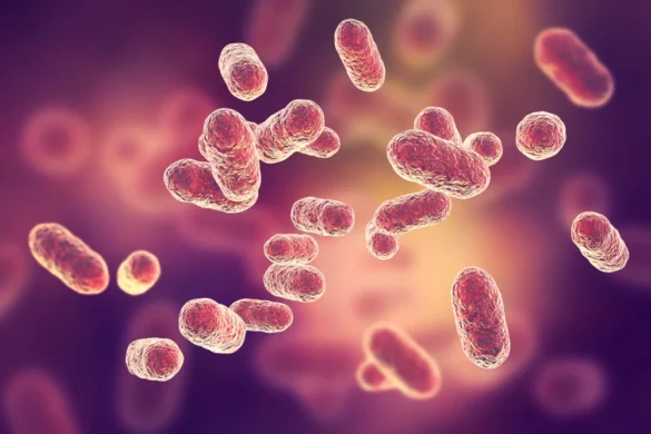 bacteria | | A breakthrough in protecting bacteria from antibiotics