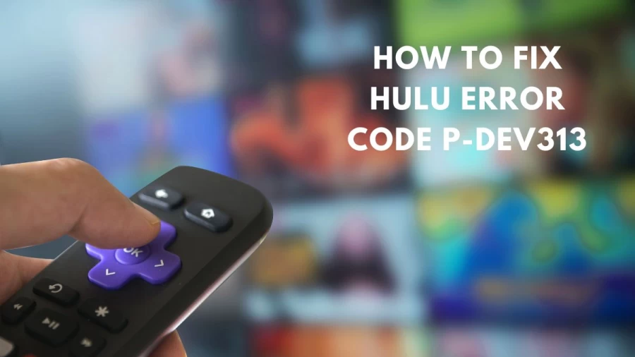 How To Fix Hulu Error Code P-Dev313
