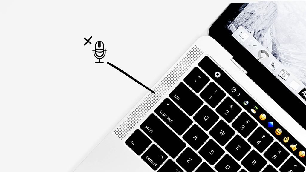 check the mic on Mac