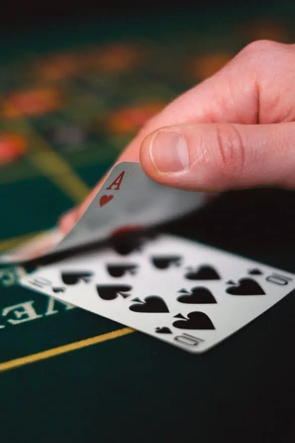 pexels anna shvets 6664195 | | Behind the Reels: Exploring the Top Real Money Casino Software Providers
