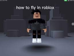 Roblox Flying Script