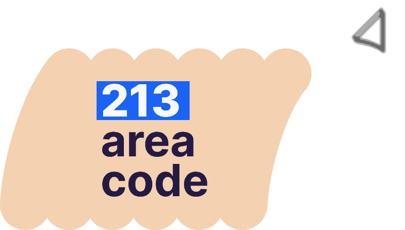 213 area code