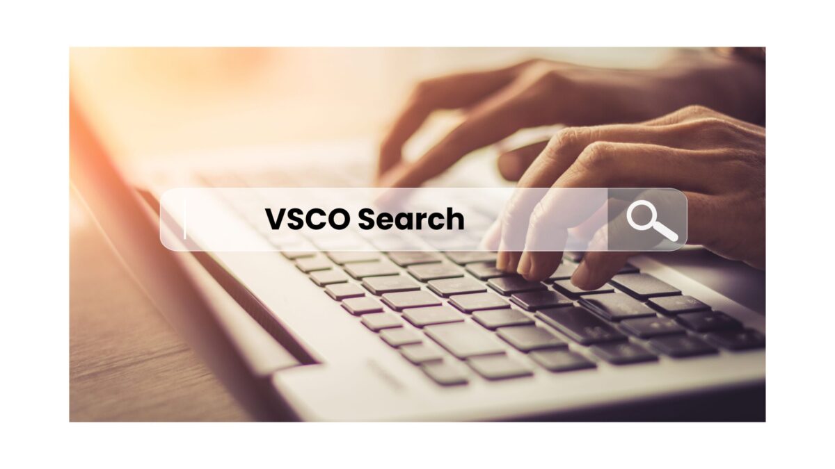 A Guide to VSCO Search